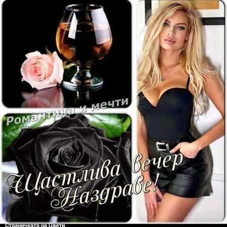Къща за гости Черната роза Болгарево Экстерьер фото